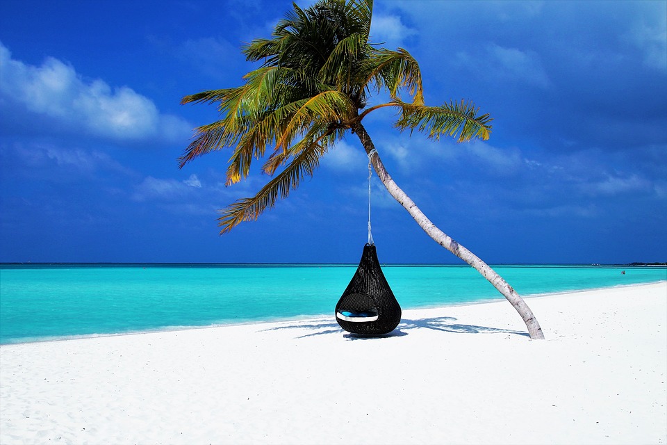 Hængestol på palme på strand